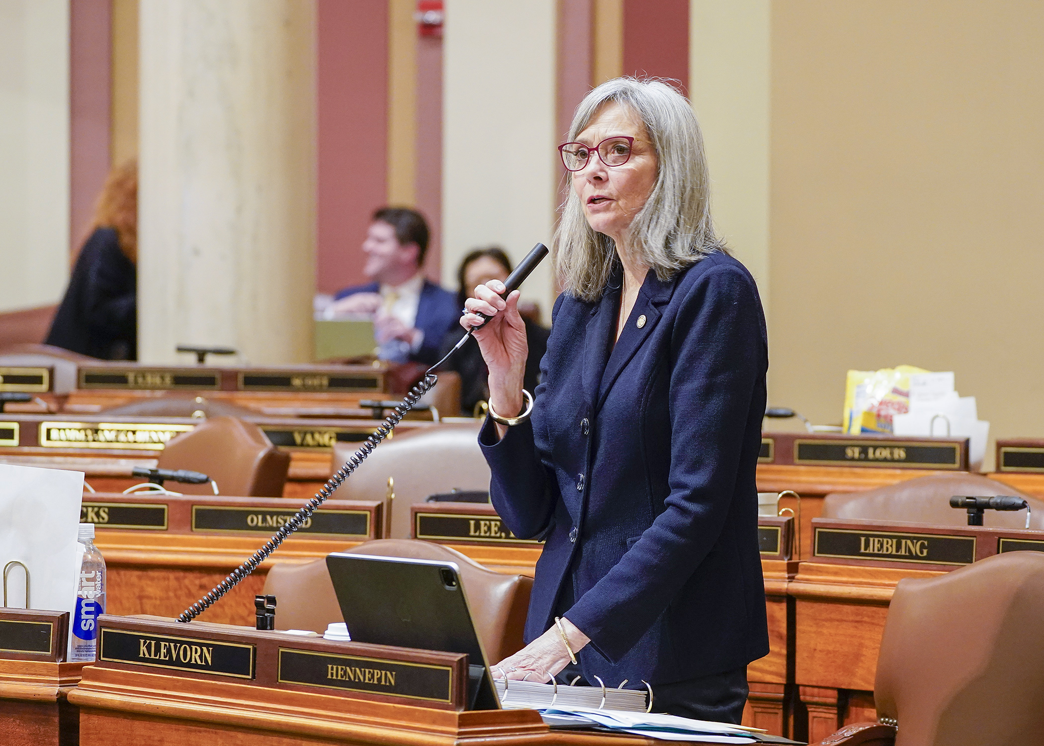 Rep. Ginny Klevorn presents the conference committee report on HF1830, the state government finance bill, on the House Floor May 19. (Photo by Andrew VonBank)